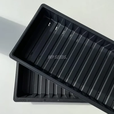 Δίσκος Καλλιέργειας 10x20