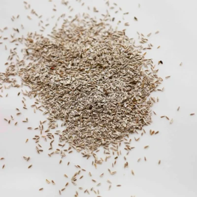 Αχίλλεια λευκή σπόροι microgreens