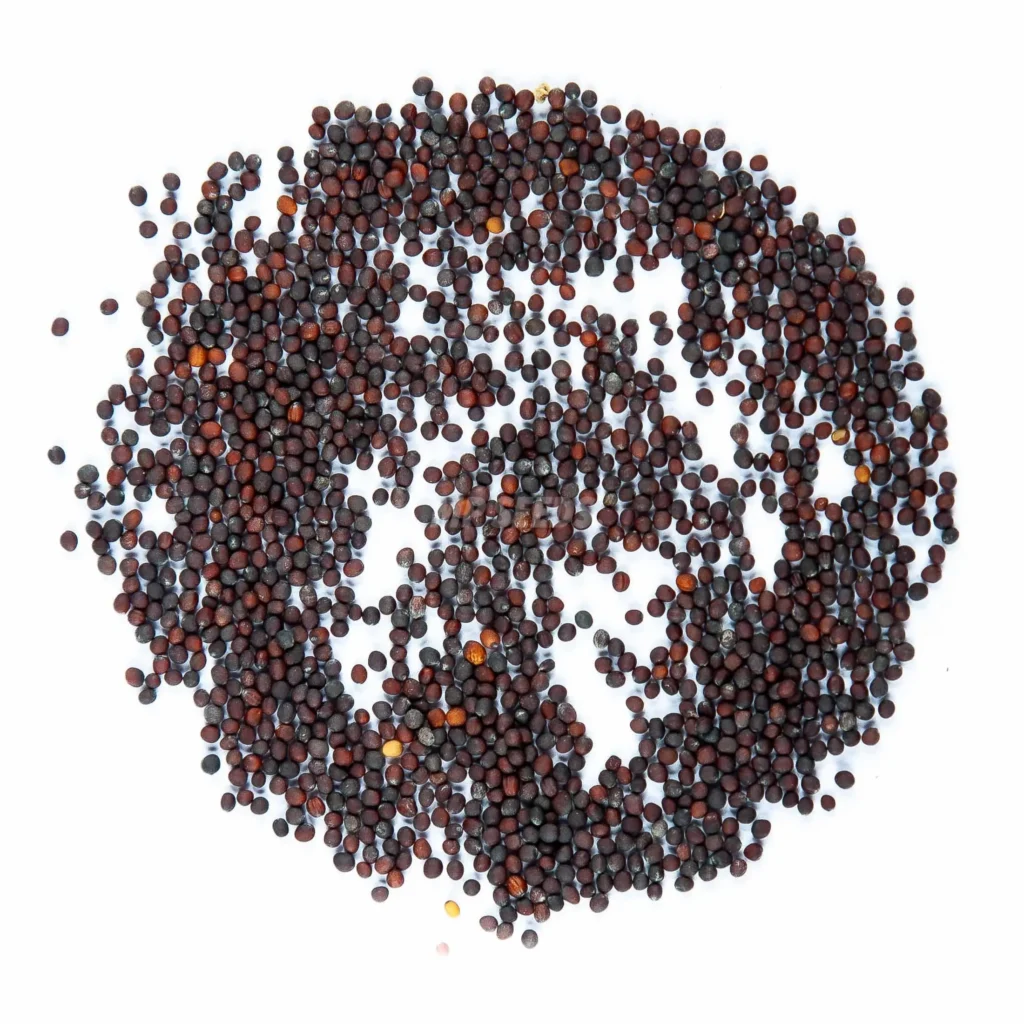 High quality broccoli seeds for microgreens growing.
