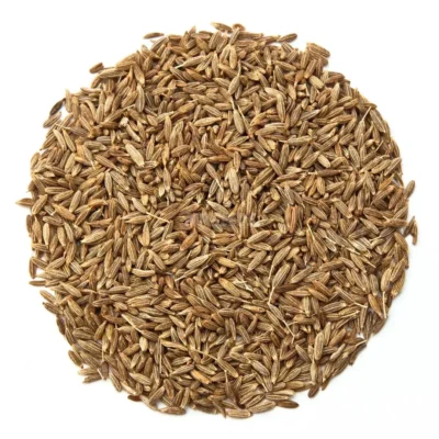 Κύμινο, Σπόροι Microgreens
