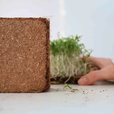 Coco Ίνες καλλιεργητικό υπόστρωμα της MP Seeds