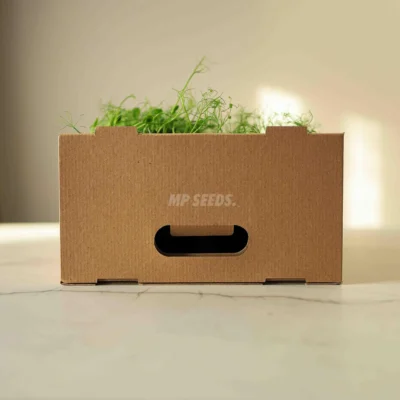 Μεγάλο Κιβώτιο Μεταφοράς για 12 γλάστρες με microgreens