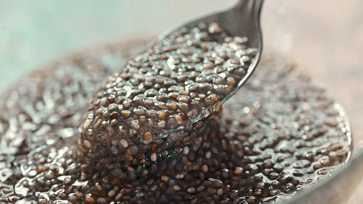 Ζελατινώδης Περίβλημα Microgreens Σπόρων: Το Έξυπνο Κόλπο της Φύσης Εξηγείται